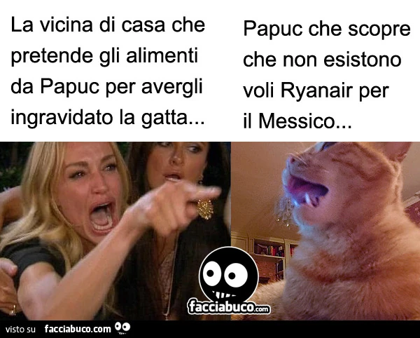 La vicina di casa che pretende gli alimenti da Papuc per avergli ingravidato la gatta&hellip; Papuc che scopre che non esistono voli Ryanair per il Messico