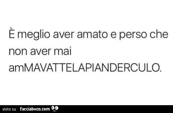 È meglio aver amato e perso che non aver mai ammavattelaplanderculo