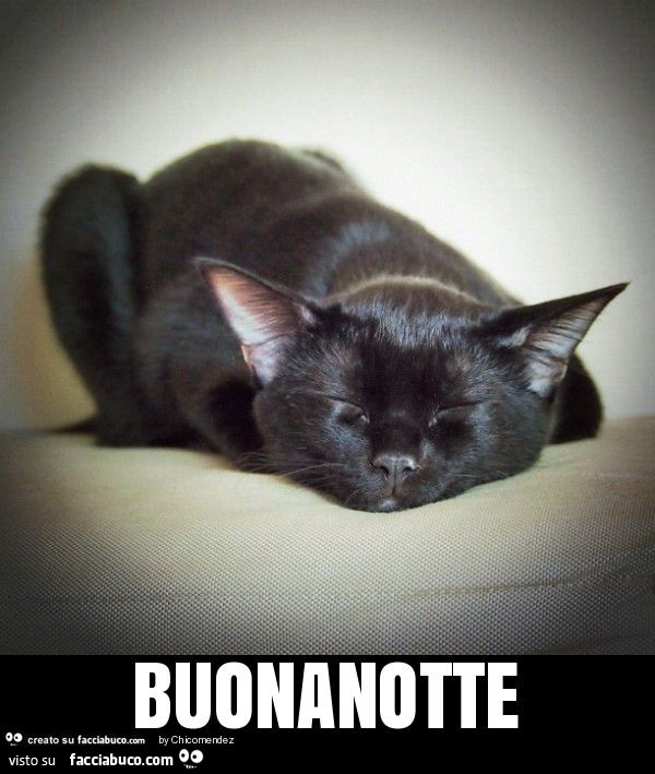 Buonanotte