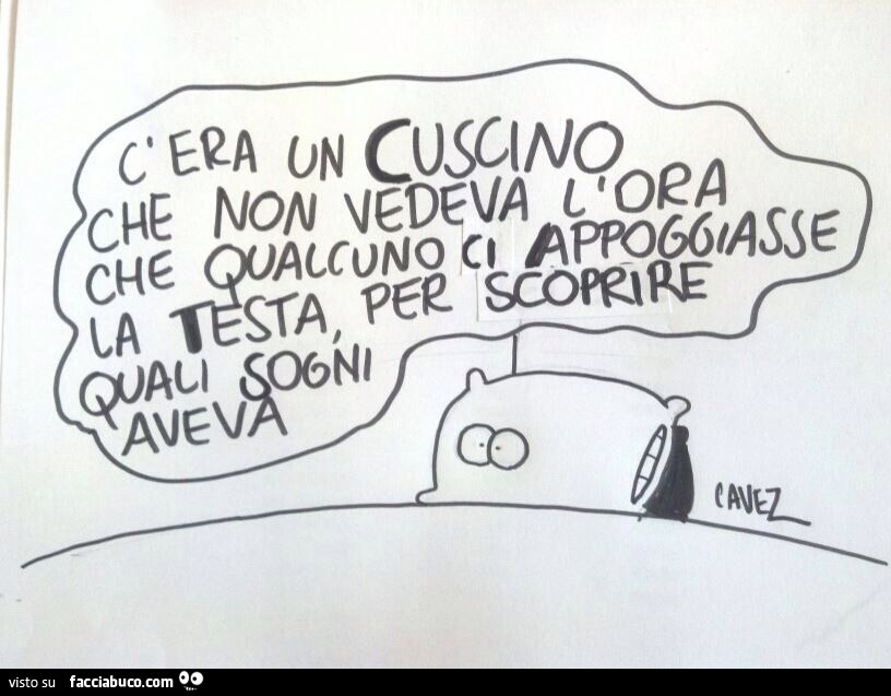 C'era un cuscino che non vedeva l'ora che qualcuno ci appoggiasse la testa per scoprire quali sogni aveva